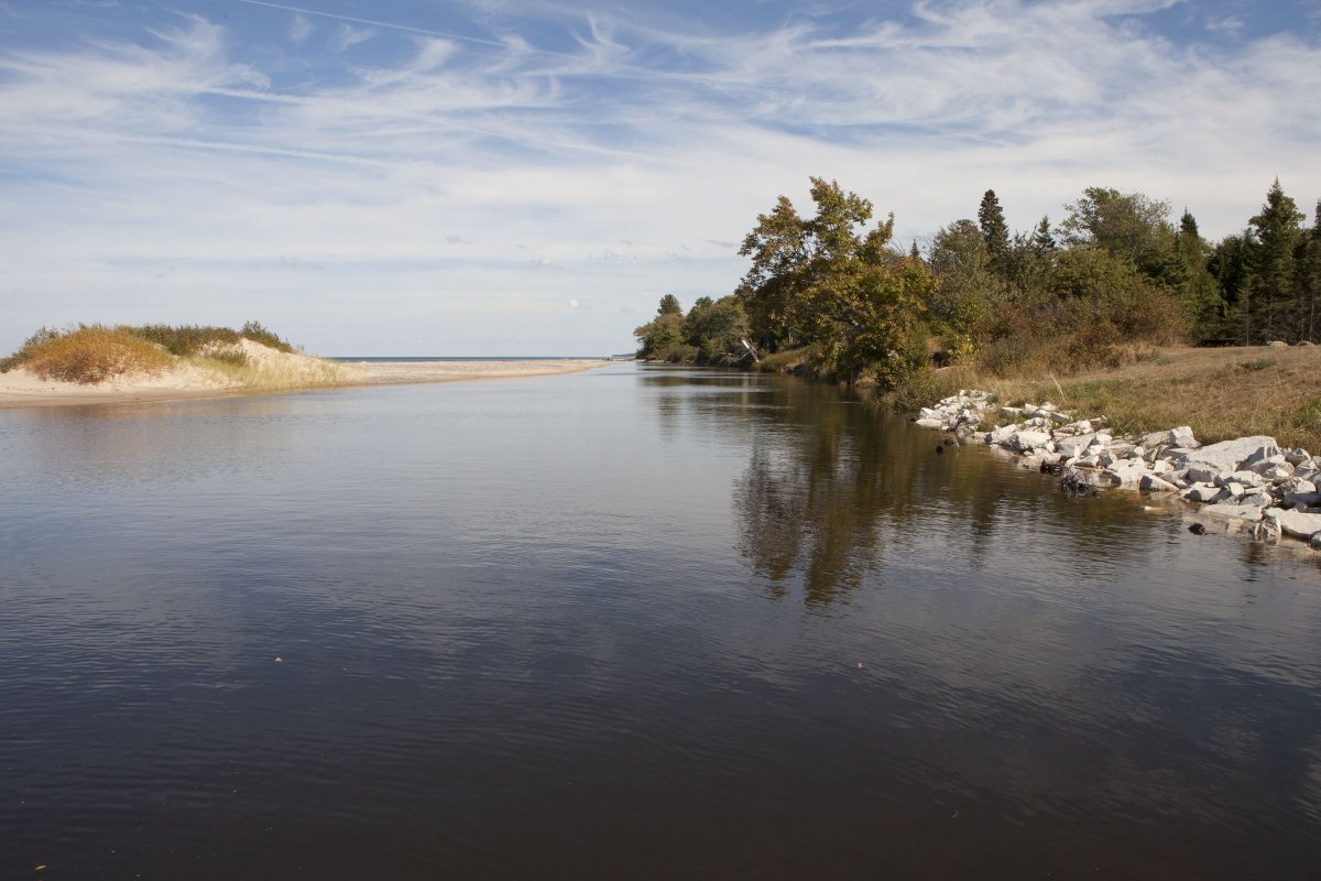 Shedd Aquarium tweet media
