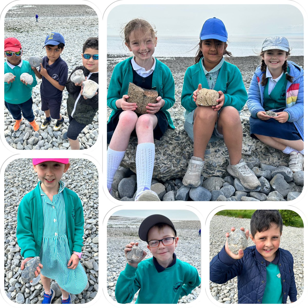 Lakeside Primary Y3 tweet media