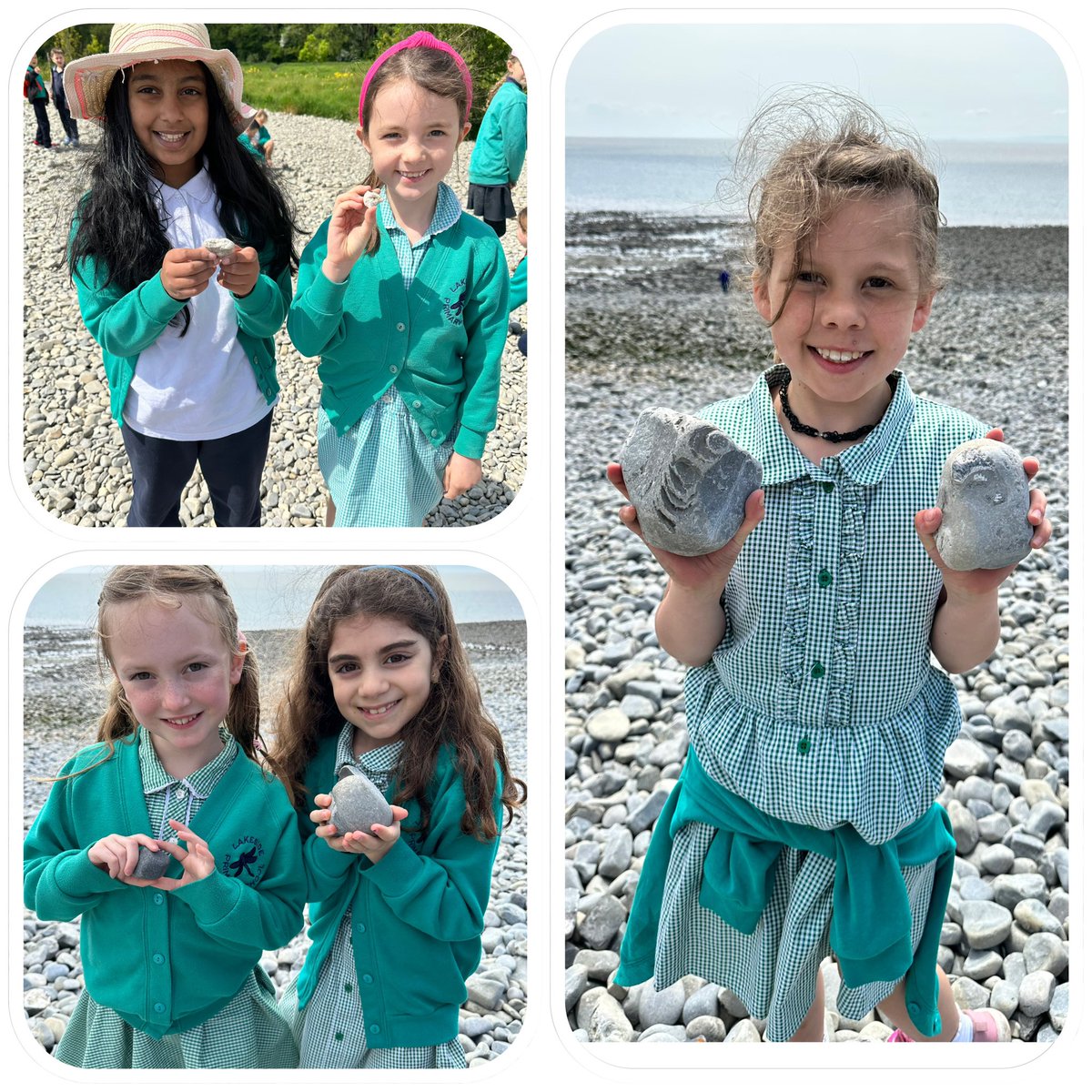 Lakeside Primary Y3 tweet media