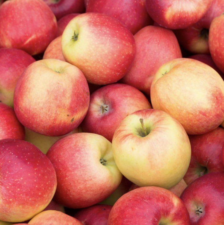 Foodari's tweet image. Local apples have now come to an end but you’ll love the alternatives we are sourcing from overseas until the new season starts 💚

#foodies #passion #extramile #foodari #notyourordinary #helpkentbuylocal #thefoodariway #perfectpartnerships #dreamteam #foodarifamily