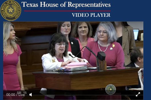 jonathansaenzTX's tweet photo. Point of order overruled. #RepValoreeSwanson laying out her arguments in support of #SB15 - the Texas #SaveWomensSports bill now. #txlege @mayes_middleton https://t.co/qN0LWMapMN