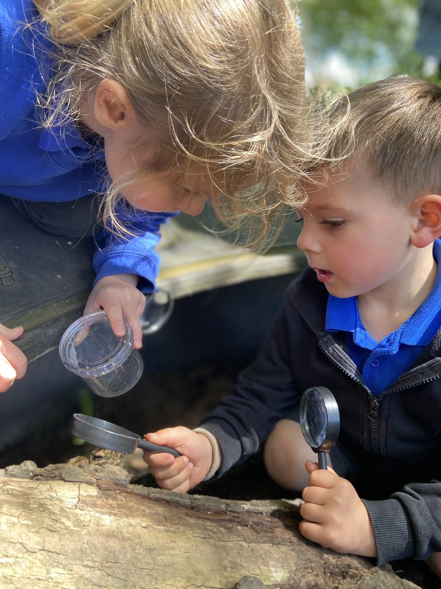 FOG_Acorns's tweet photo. We are LOVING our mini-beast topic! The children have been looking at different habitats and have been using impressive vocabulary such as ‘survival’ and ‘protecting themselves’. Our book of the week Superworm has prompted lots of discussion 🪱 #FOGScience #FOGReading https://t.co/QqlUUc5fTJ