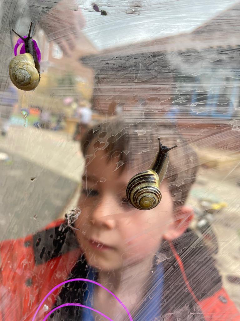 FOG_Acorns's tweet photo. We are LOVING our mini-beast topic! The children have been looking at different habitats and have been using impressive vocabulary such as ‘survival’ and ‘protecting themselves’. Our book of the week Superworm has prompted lots of discussion 🪱 #FOGScience #FOGReading https://t.co/QqlUUc5fTJ