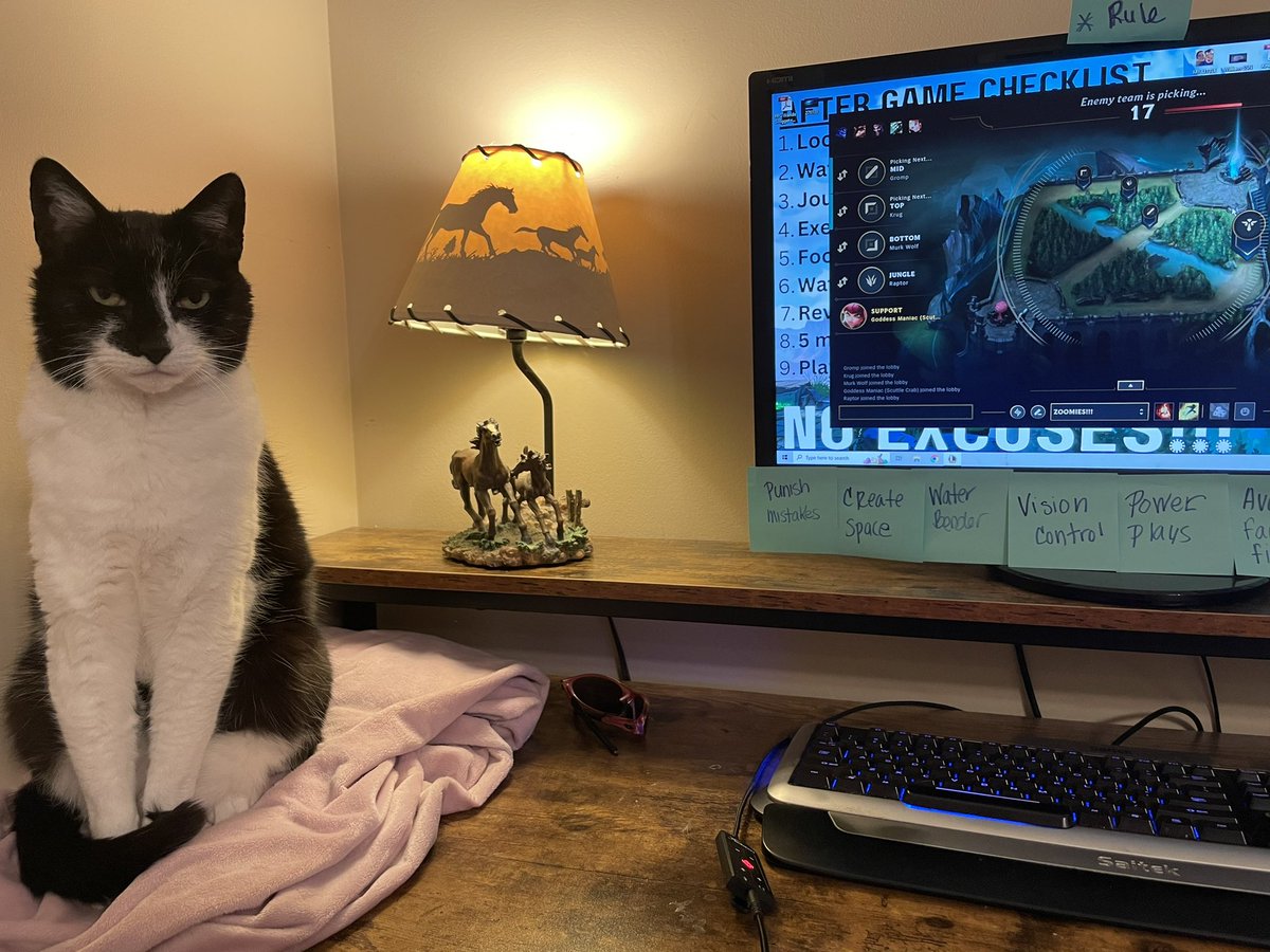 tuxedosiblings's tweet image. Dis me providing emotionalz supports whils Mum is gaming. ❤️🐾 @goddessmaniac #CatsOfTwitter