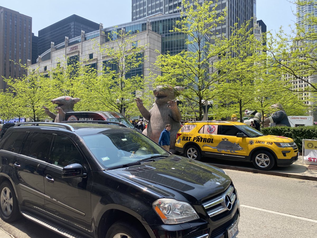 THREE rats, two fat cats and 100s of marchers in Chicago supporting the WGA Strike! ⁦<a href="/WGAWest/">Writers Guild of America West</a>⁩ ⁦<a href="/WGAEast/">Writers Guild of America East</a>⁩