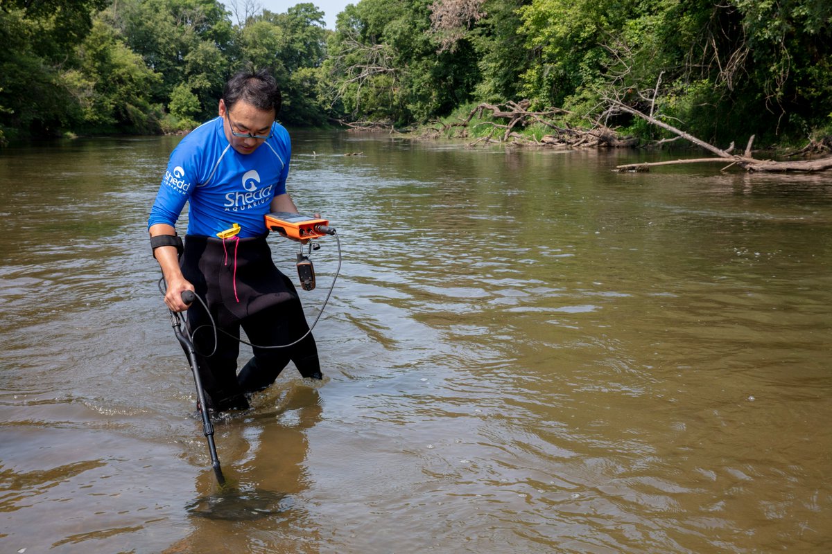 Shedd Aquarium tweet media