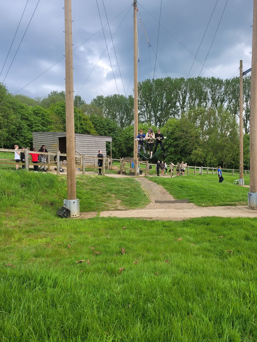 Anne-Lise Froy tweet media