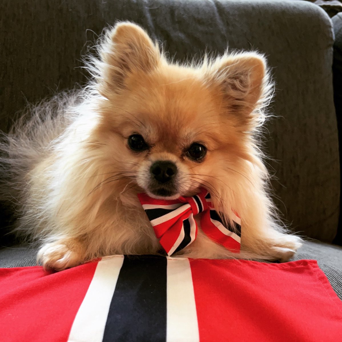 Gratulerer med dagen!