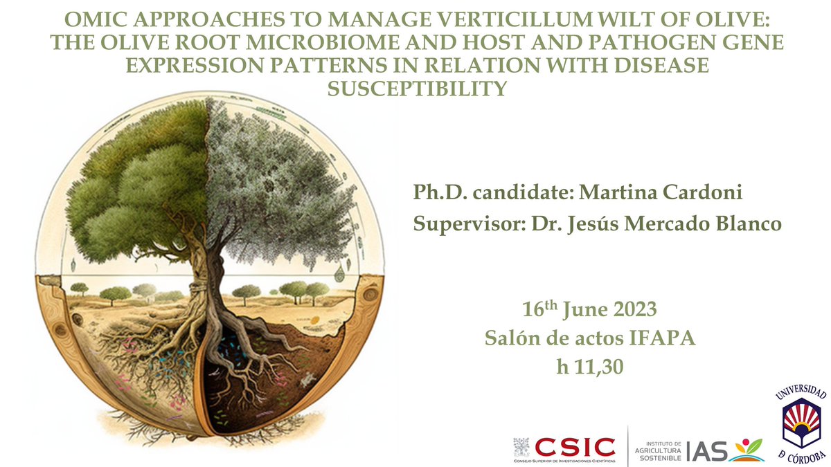 IAS-CSIC (@ias_csic) on Twitter photo 📢 Defensa #TesisDoctoral
👩🎓doctoranda: Martina Cardoni <a href="/myricae90/">Martina Cardoni</a>
👉director de Tesis: #JesúsMercado del <a href="/IAS_CSIC/">IAS-CSIC</a>
📆 16 junio 2023
⏰ 11:30 h
📍 Salón de Actos IFAPA-Alameda del Obispo, Avda. Menéndez Pidal, Córdoba
#cienciaparalaagricultura #CSIC <a href="/CSICdivulga/">CSIC Divulga</a> <a href="/CSICAndalExtrem/">CSIC Andalucía y Extremadura</a> 📢 Defensa #TesisDoctoral
👩🎓doctoranda: Martina Cardoni <a href="/myricae90/">Martina Cardoni</a>
👉director de Tesis: #JesúsMercado del <a href="/IAS_CSIC/">IAS-CSIC</a>
📆 16 junio 2023
⏰ 11:30 h
📍 Salón de Actos IFAPA-Alameda del Obispo, Avda. Menéndez Pidal, Córdoba
#cienciaparalaagricultura #CSIC <a href="/CSICdivulga/">CSIC Divulga</a> <a href="/CSICAndalExtrem/">CSIC Andalucía y Extremadura</a>