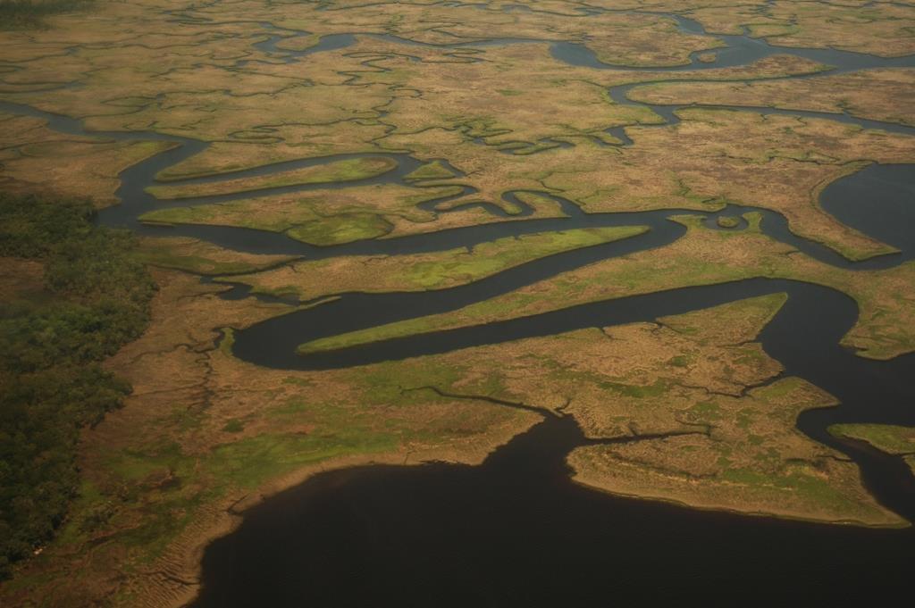Science from <a href="/USGS/">USGS</a> was used to inform a new #MarshFoward plan to develop coastal adaptation strategies for million-acre #SaltMarsh ecosystem in the South Atlantic US–-an area the size of the Grand Canyon. 
ow.ly/P06U50OqmZW 

#SASMI #AmericanWetlandsMonth #WetlandsMonth