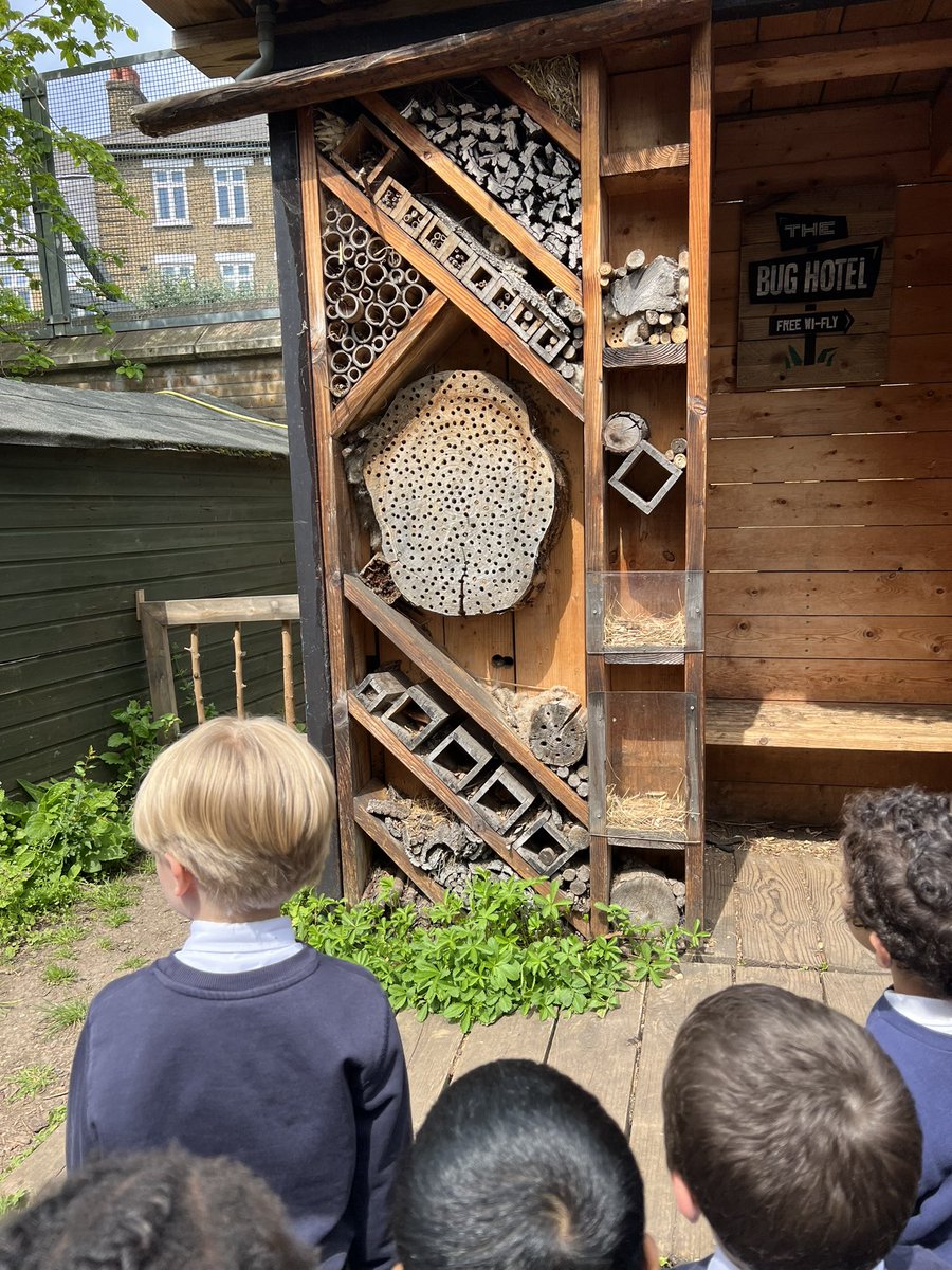 e1_stgeorge's tweet photo. Lovely trip to the farm to check out their bug hotel. It’s was well used by many little critters! 🐞🐛🦟🐝 @StAnnesgaCPS @e1_stgeorges #spitalfieldscityfarm https://t.co/j24NHaYWX6