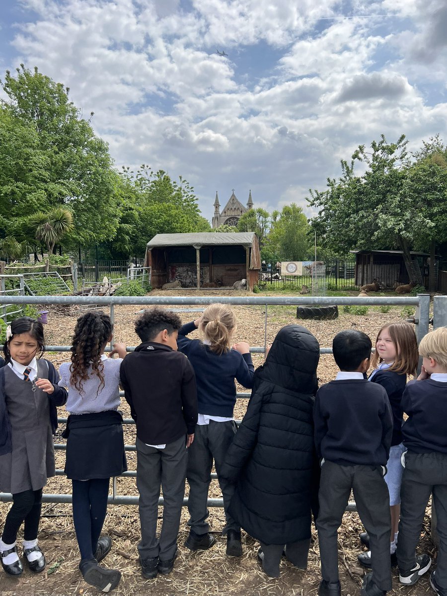 e1_stgeorge's tweet photo. Lovely trip to the farm to check out their bug hotel. It’s was well used by many little critters! 🐞🐛🦟🐝 @StAnnesgaCPS @e1_stgeorges #spitalfieldscityfarm https://t.co/j24NHaYWX6
