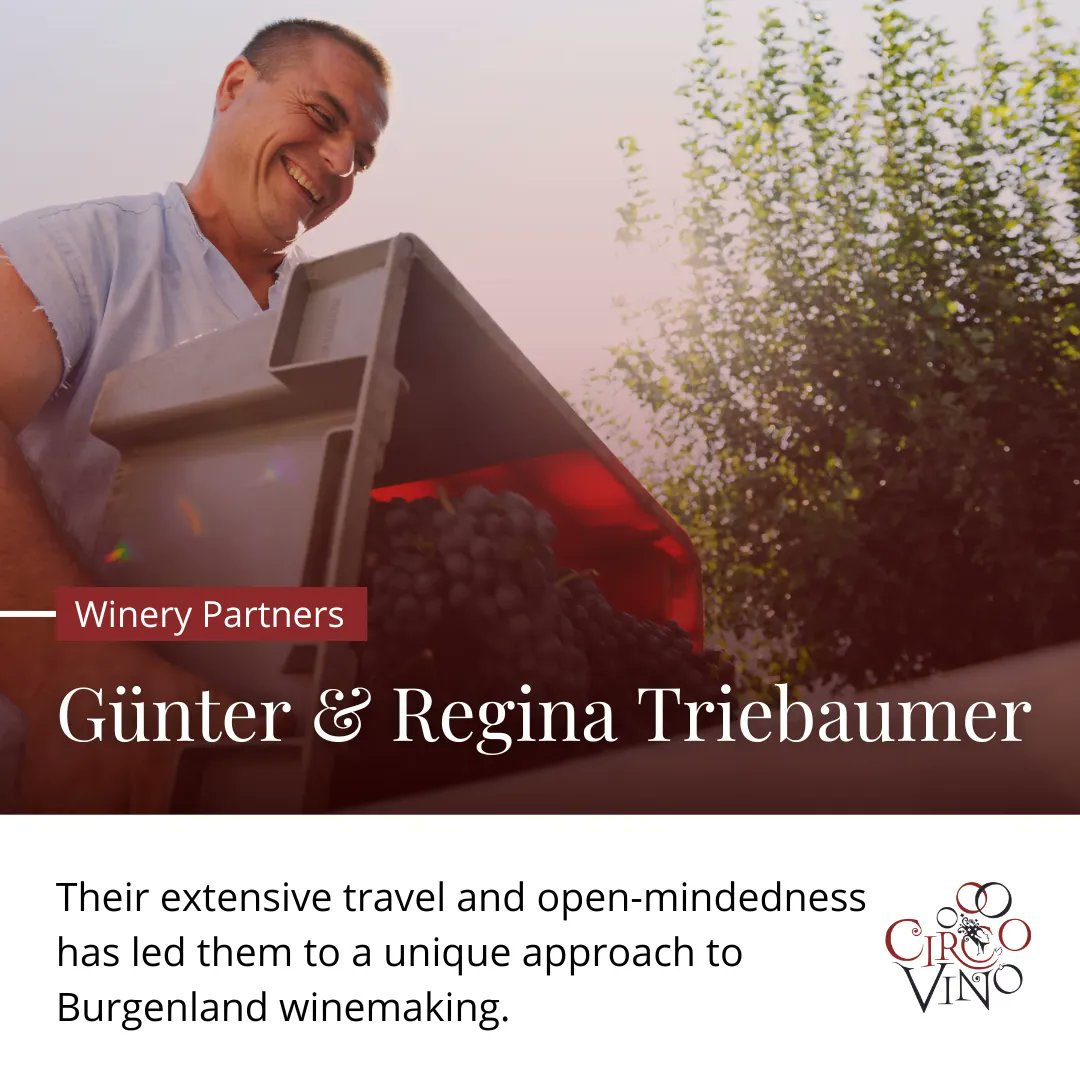 Their extensive travel and open-mindedness has led them to a unique approach to Burgenland winemaking, combining modern techniques and practices with a deep respect for tradition to produce some of the most exciting wines to come out of the region.

#circovino #withthewinecircus