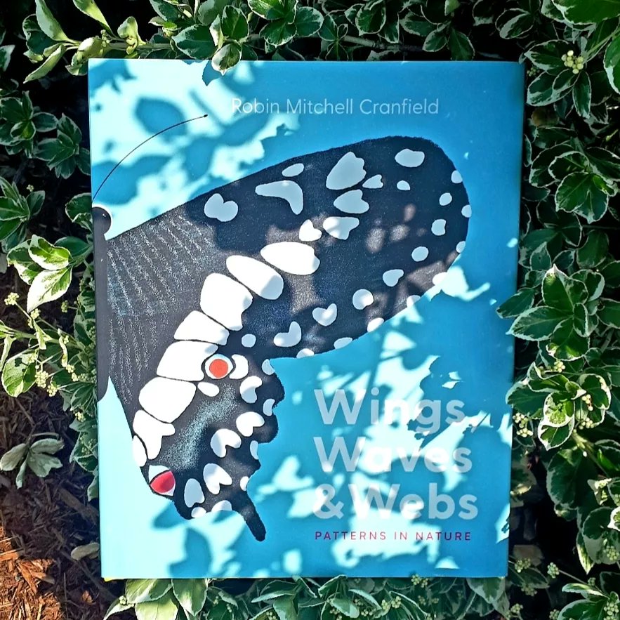 Loved this one! WINGS, WAVES &amp; WEBS is a wonderfully designed picture book teaching young readers about patterns we see in nature. Perfect for young nature lovers but also younger kids being introduced to patterns and shapes we see in our daily lives.
#picturebooks #kidsbooks