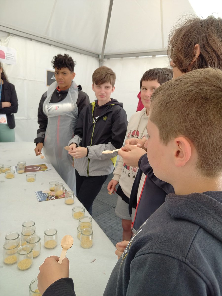 Visite du festival de la gastronomie gascogne: Auch, le goût. Jeudi 11 mai de 14h à 17h avec les classes de 5eme1 et 5eme6.
Préparation, dégustation et découverte du millet en salade et bien d'autres saveurs et goûts 😋