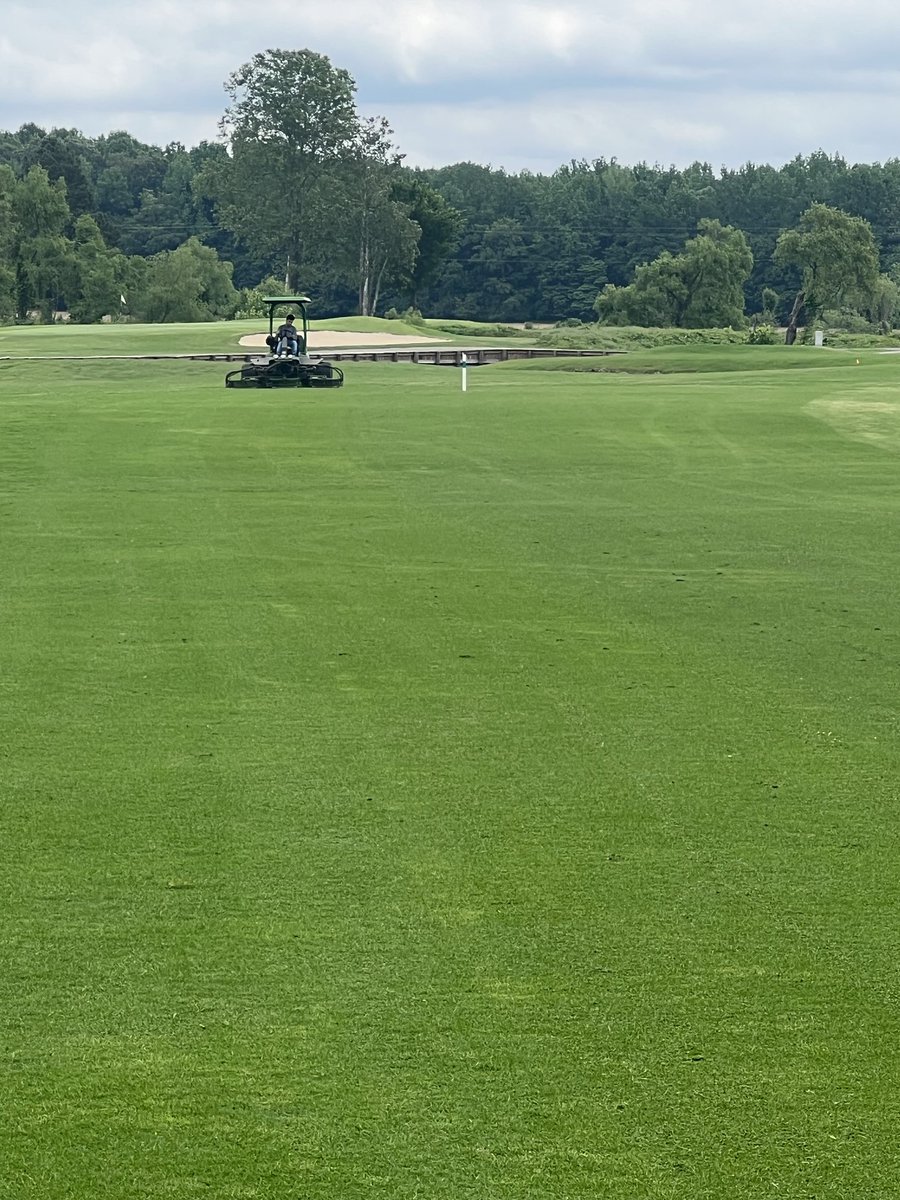 #6 fairway is glowing. The course is looking better every day!
