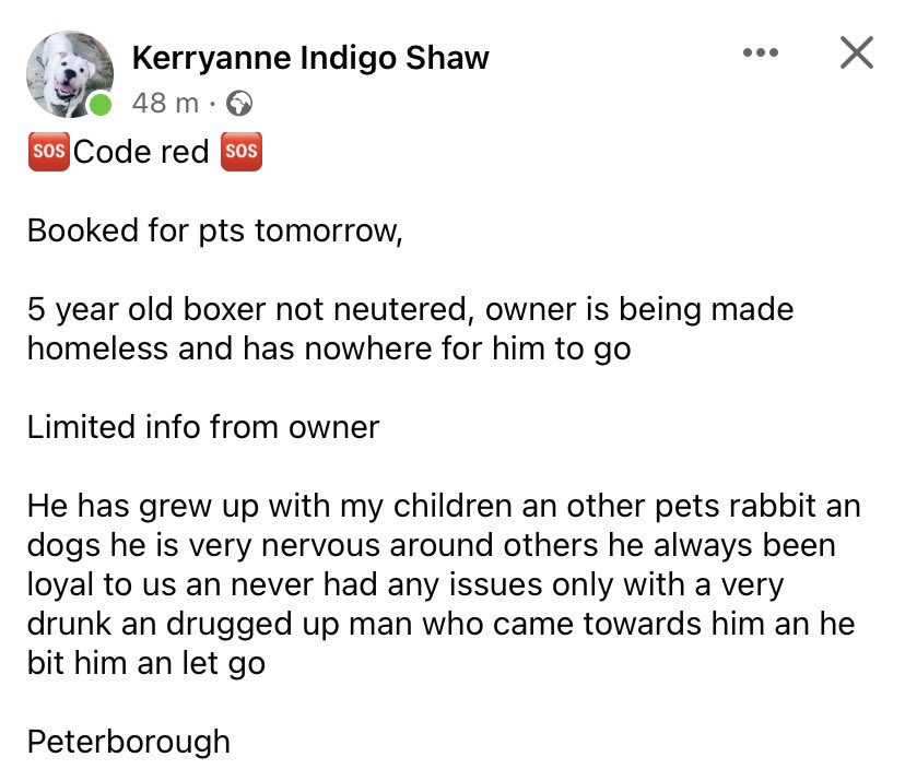 Booked for euthanasia tomorrow 👇

Please contact link below to offer rescue help. 

Owner being made homeless. 

m.facebook.com/story.php?stor…

<a href="/dotslondon/">Dogs On The Streets</a> <a href="/domdyer70/">dominic dyer</a> 

<a href="/HoCpetitions/">Petitions Committee</a> FYI