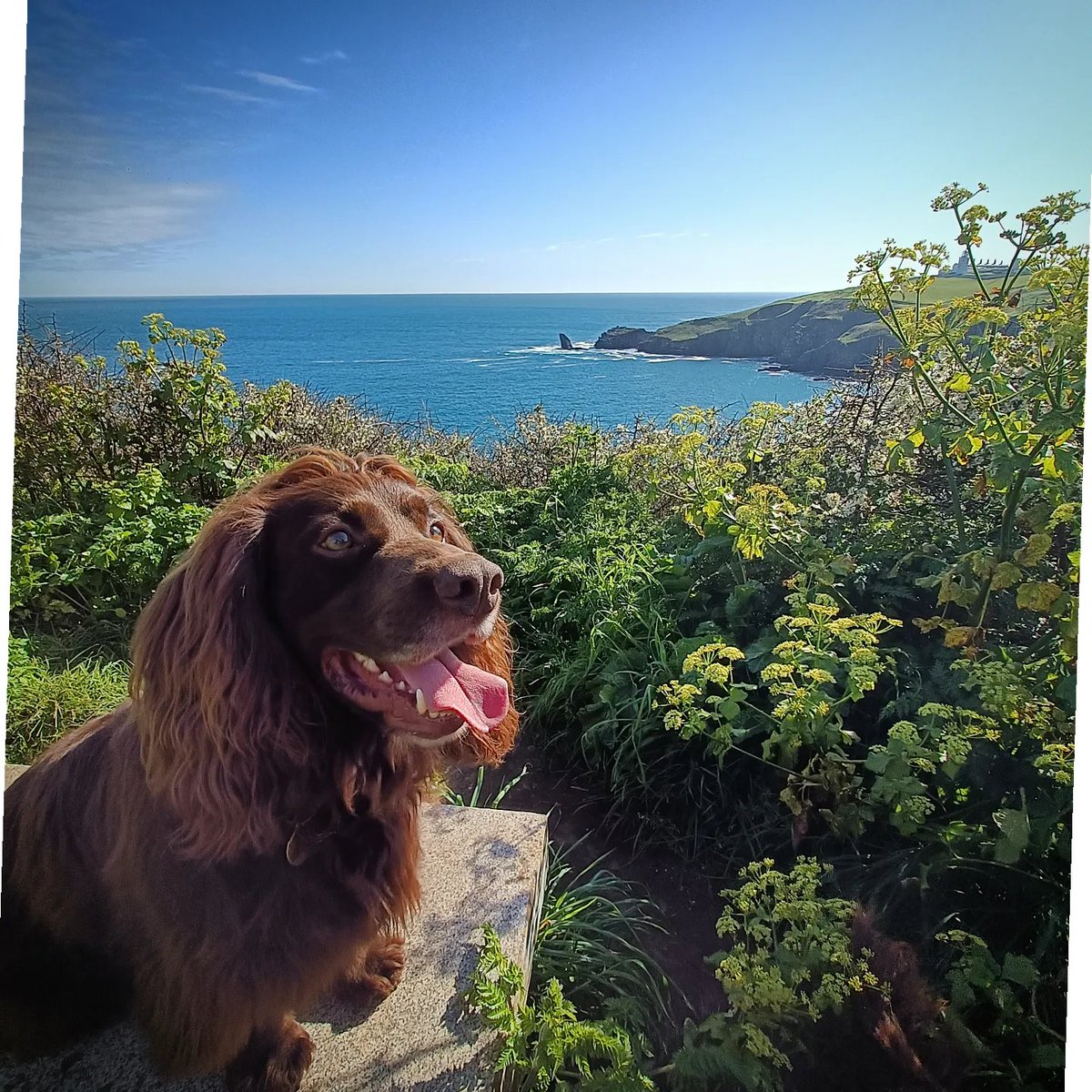 Rob Edlin tweet media