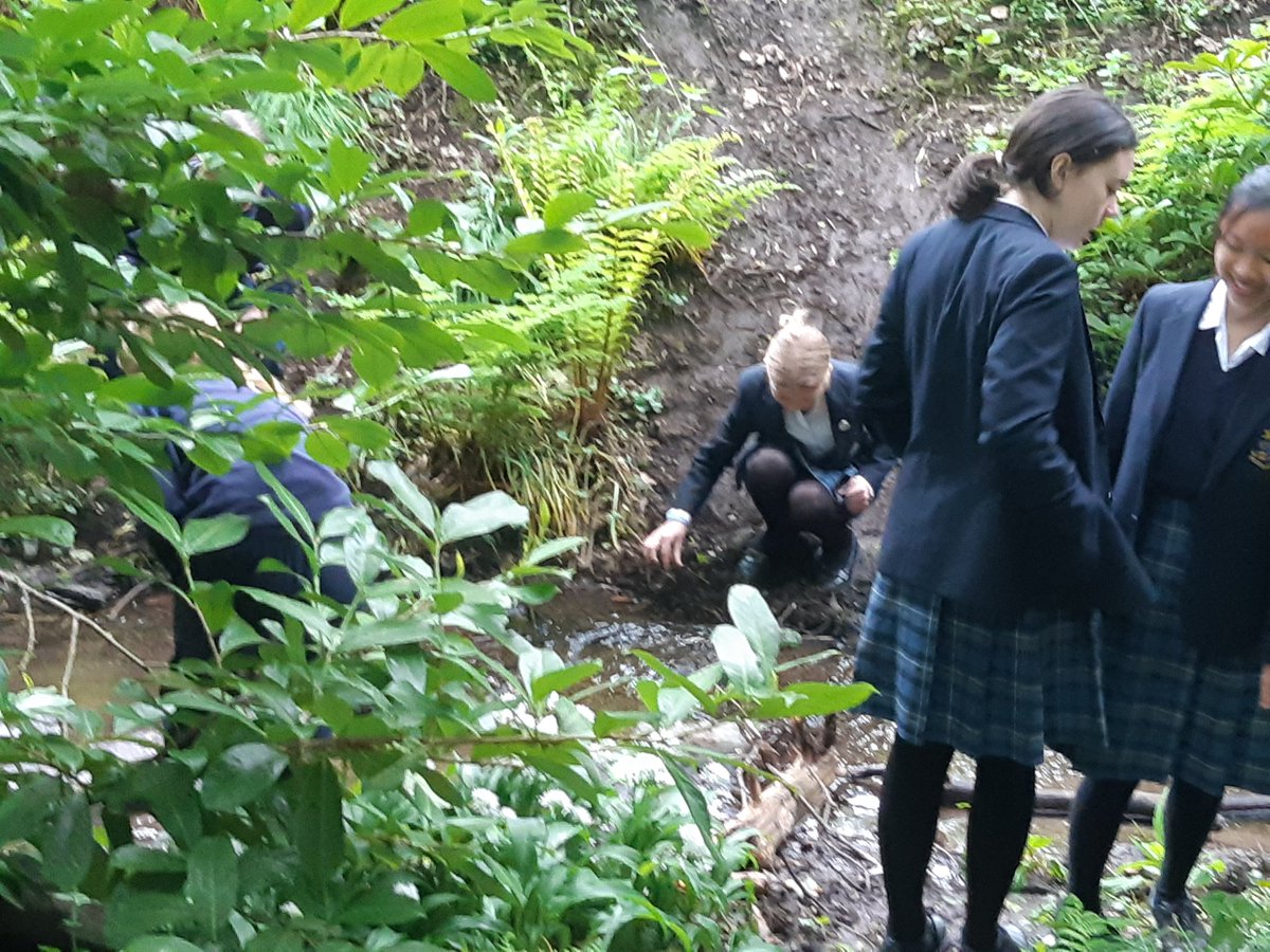 David J. Barnes tweet media