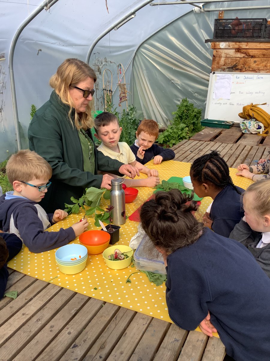 P1atCanalView's tweet photo. This morning we visited the school farm and learnt all about what food we grow at school. We were lucky enough to try some. Ask us what our favourite food was. #CVHealthWeek23 #OnlyAtCanalView @CanalViewPSEdin https://t.co/YyUmOvJzQF