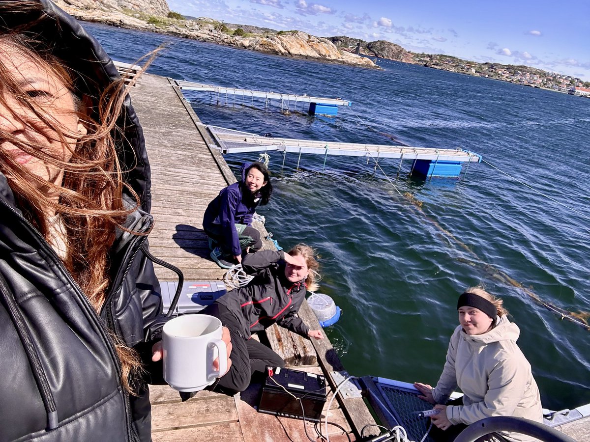 Truly enriching experience working on field with the @Barefoot_Lab team! Expecting exciting methane results from seagrass meadows in Kristineberg, Sweden. @yyyyvonne