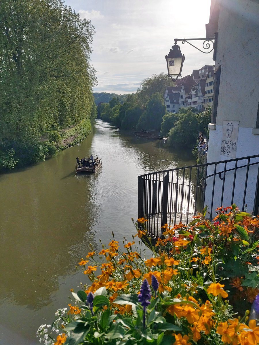 tueinfo's tweet photo. Der Blumenschmuck ist da! Überall in der Tübinger Altstadt hängen die Kästen und Ampeln mit 20 unterschiedlichen Pflanzensorten. Viele davon sind bienenfreundlich! Die Blumen-Sonne geht auf!
#visittuebingen #weAreGermany #Himmelfahrt https://t.co/1nyejQgyN2