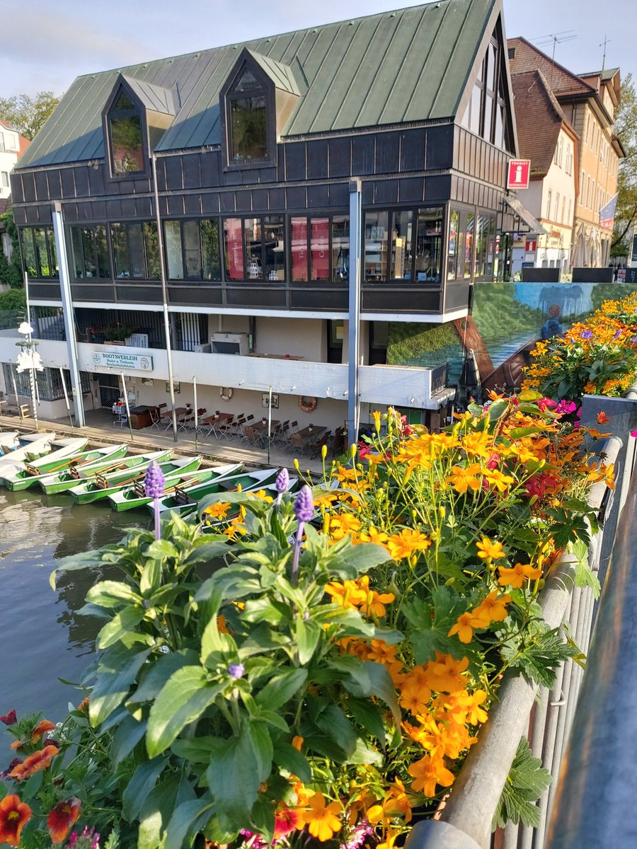 Der Blumenschmuck ist da! Überall in der Tübinger Altstadt hängen die Kästen und Ampeln mit 20 unterschiedlichen Pflanzensorten. Viele davon sind bienenfreundlich! Die Blumen-Sonne geht auf!
#visittuebingen #weAreGermany #Himmelfahrt