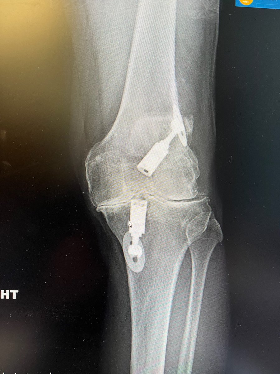 Nicholas Colyvas MD tweet media