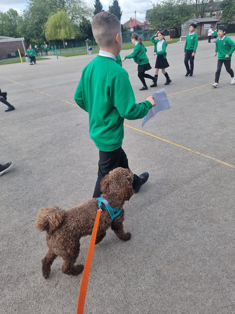 I loved world orienteering day today and think I was a pawfect help to Y6! T🐾