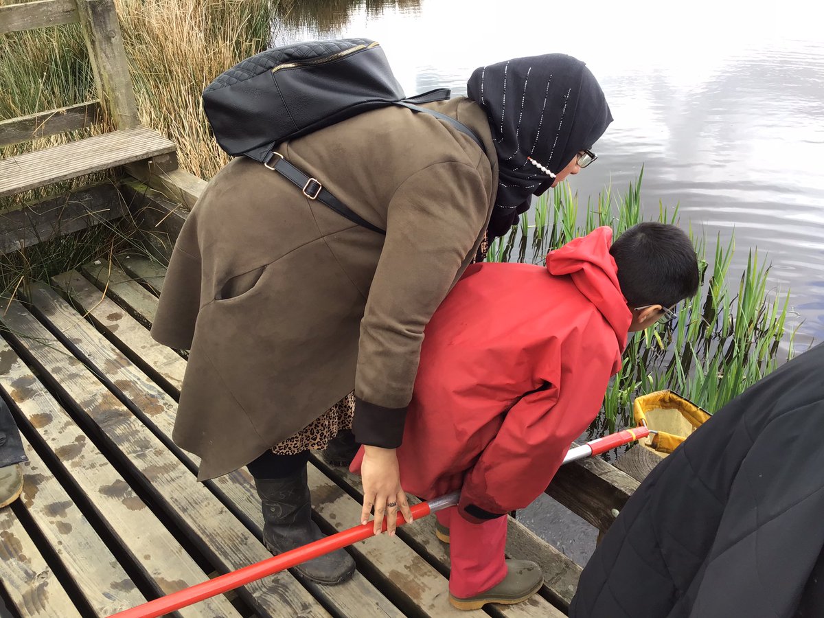 GreenacresYear2's tweet photo. Back to Castleshaw, inthe afternoon, we had great fun pond dipping. We caught lots of water creatures and identified them using the resources provided. #GPAscience https://t.co/O7WYA1G8AZ
