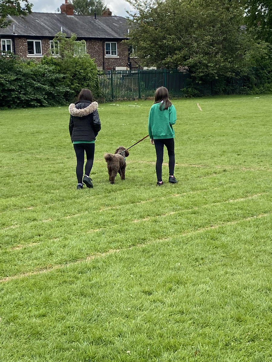 Topped with with a walk from my besties T🐾