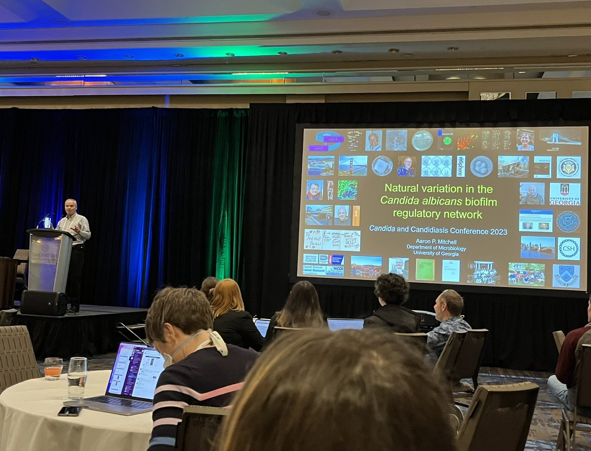 It was an amazing opportunity to give a talk in #Candida2023 representing Mitchell lab and to meet fantastic Candida people. 🍄