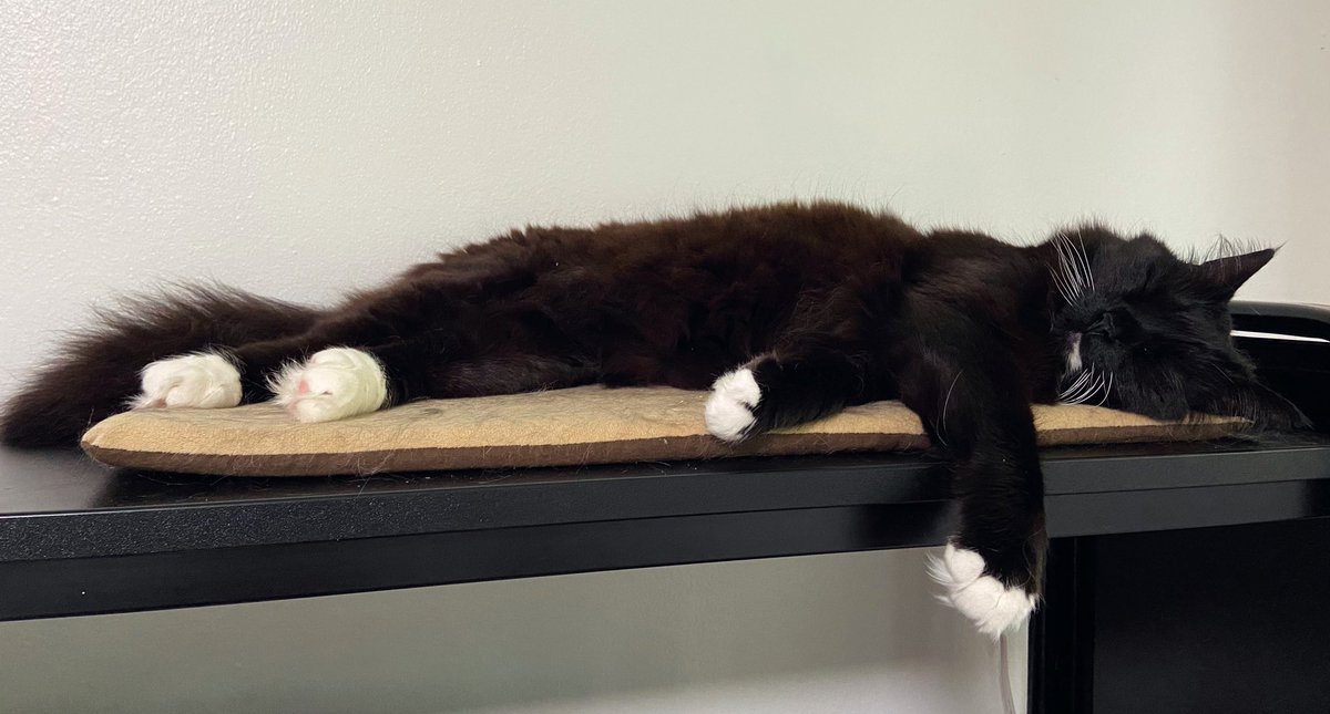 Obsessed with heated bed in summer weather
