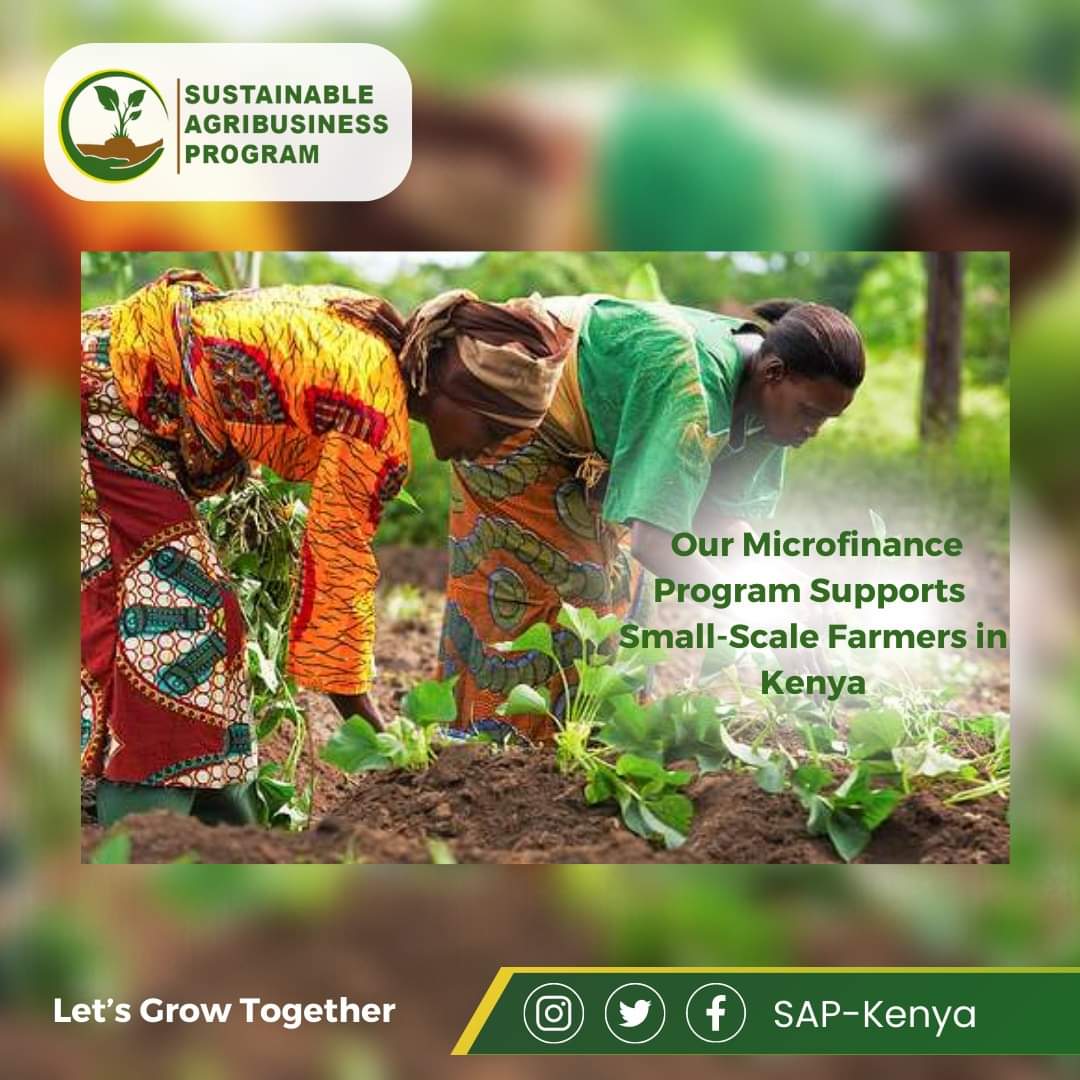 SAP_Kenya's tweet image. Capitalizing on Opportunity: Our Microfinance Program for Small-Scale Farming in Kenya

Small-scale farmers face many challenges in Kenya, but our microfinance program helps them capitalize on opportunities to grow their businesses.
.#SmallScaleFarming  #EmpoweringCommunities