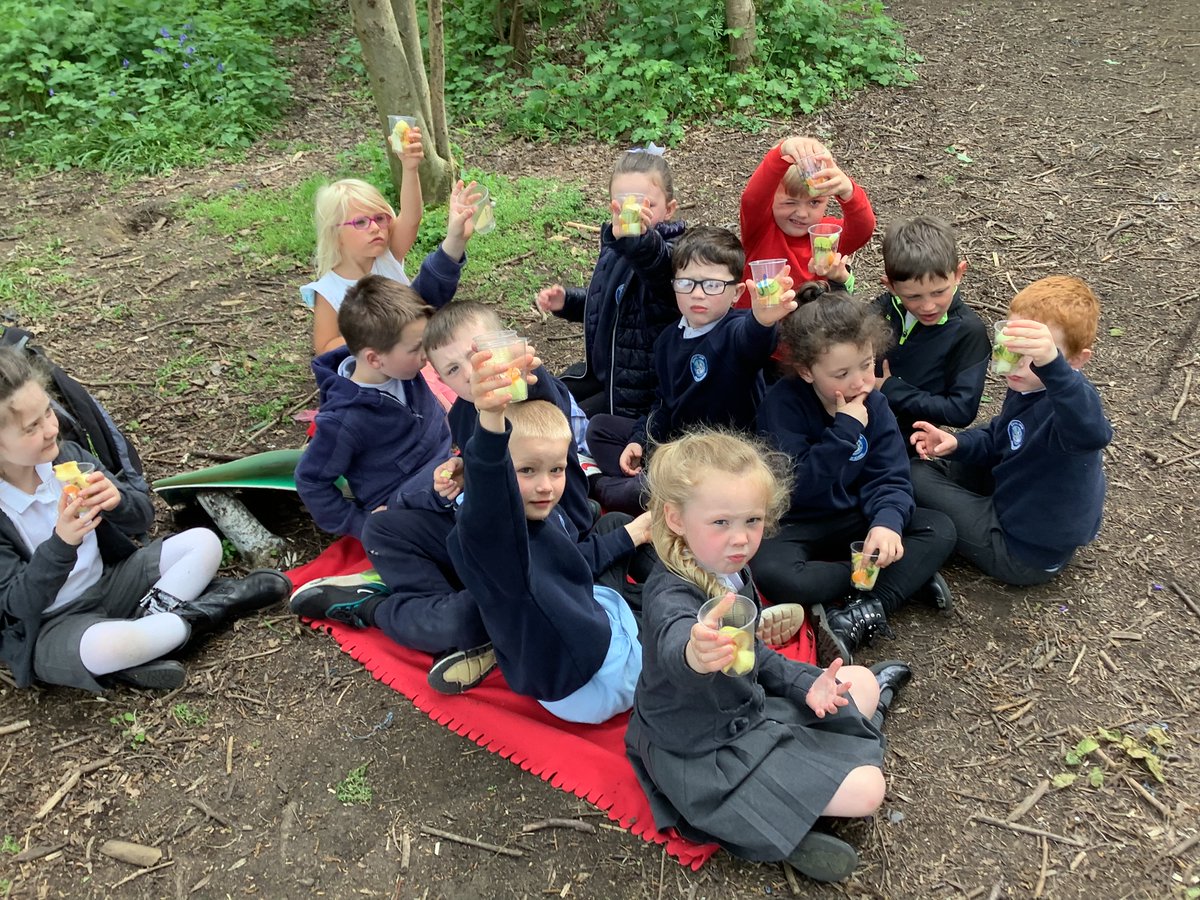 P1atCanalView's tweet photo. This afternoon we were learning about what foods keep us healthy. We made a yummy fruit salad which we enjoyed eating in the woods! #CVHealthWeek23 #OnlyAtCanalView @CanalViewPSEdin https://t.co/6QhvRcDWnB