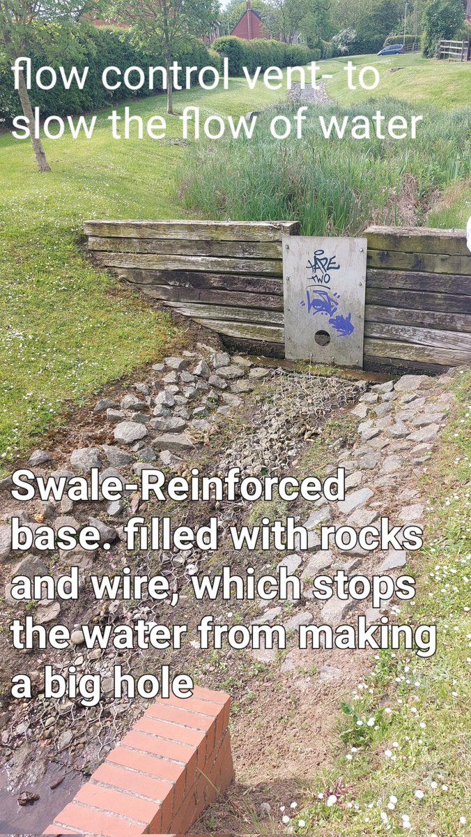 Class 20 had a great time on their Greenbelt trip today with Nick and Neil. They learnt so much about  SUDs in our local environment <a href="/greenbeltca/">Greenbelt Foundation</a> @kestrelmead