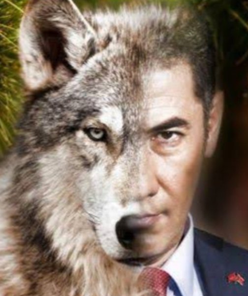 ahmet_yagizer06's tweet photo. 🐺 Bozkurtlar Takipleşiyor🤘

-   Retweet Et  🔁
-   Yorum Yap  💬
-   Takip Et  ☑
-   Beğen ❤️

#SinanOğan #OAnGeliyor 🇹🇷 https://t.co/Zvx9hzpATv