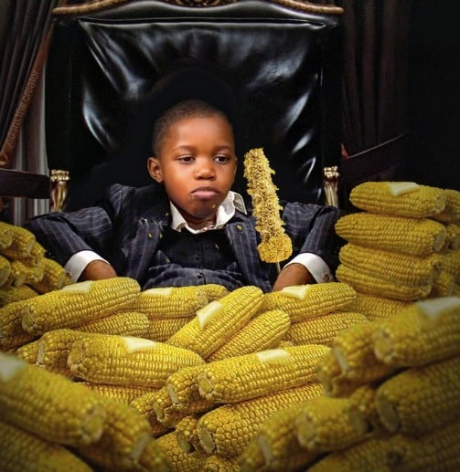 CORN COIN 🌽 🌽 tweet media