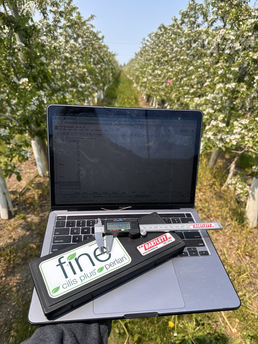 Office views 😎 @suncrestapples #fruitsizing #ontag #thinningdecisions #onappleaday #gala