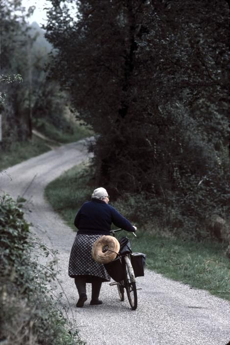 'Dordogne, 1977'
📷 Jean Gaumy