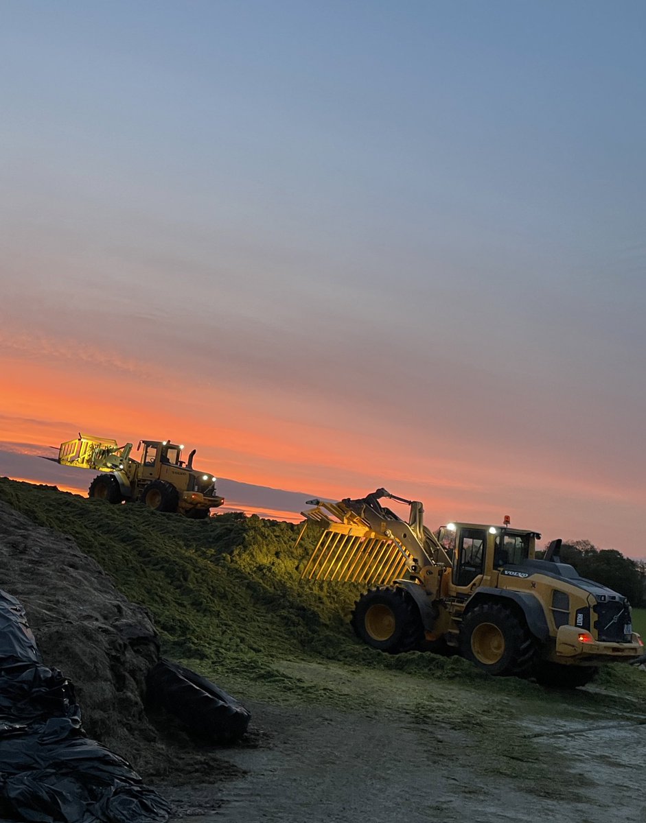 Some evening to get the silage in 👌👌👌