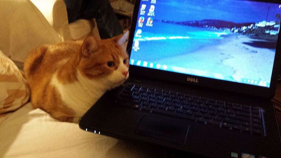 DeborahDian's tweet photo. Do you remember every post you have written, and every comment you have left, on the internet? If not, you may want to use the services mentioned in this article to get rid of them, before they come back to haunt you!
https://t.co/G4Ljmy3nSl
#FacebookSafety #PrivacyMatters https://t.co/7kpnlH6kLu