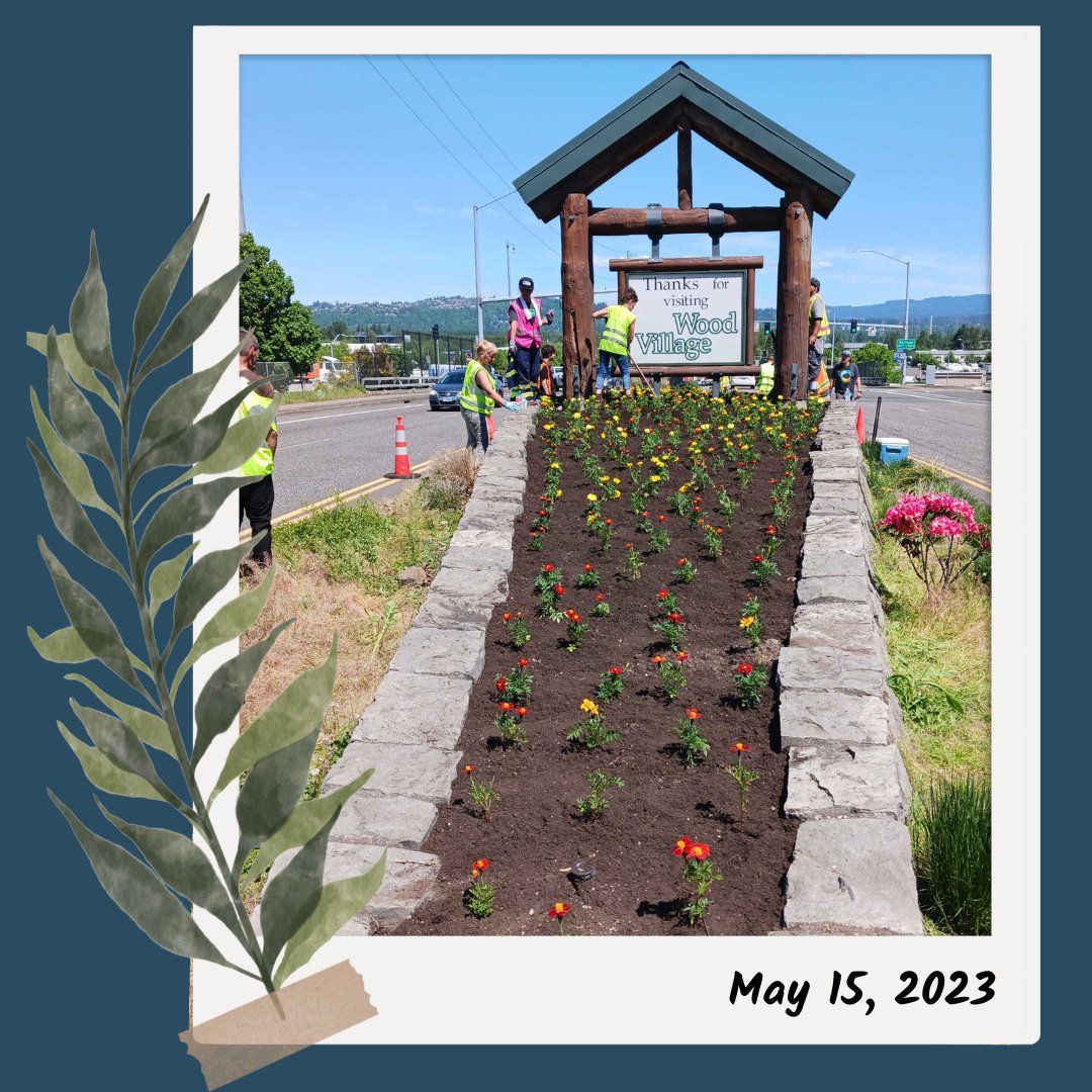 cultivatePDX's tweet photo. April showers bring May flowers, but who plants those flowers? This week, it was our Community Beautification team!

#cultivatecommunity #eastmultnomah #woodvillage #communitybeautification #neighborshelpingneighbors #forandwiththepeople #workforce https://t.co/rEX2kSSXiG