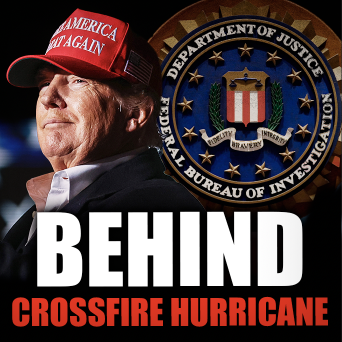 NTDPlus_'s tweet photo. "Crossfire Hurricane" led to #SpyOperations and #FakeMedia hit pieces against @realdonaldtrump and his associates, and even to arrests of people close to him.
https://t.co/L2X9ZaBR03