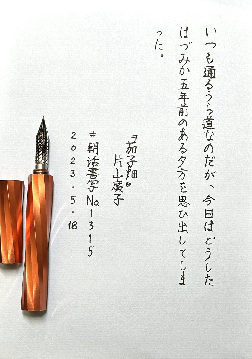 mitoppoppo's tweet photo. #朝活書写
#朝活書写_1315
⁡#俺の手書きインスタ ⁡
#drillog⁡⁡ 0.8
#platinumink 超黒 #ultimate_black_carbon_ink 
#glalo 
ナスを英語でeggplant と知った時妙に納得した覚えがあります。
促音を現代表記の「っ」で書いたり得意のケアレスミス続く。 https://t.co/mutDppQ5rf