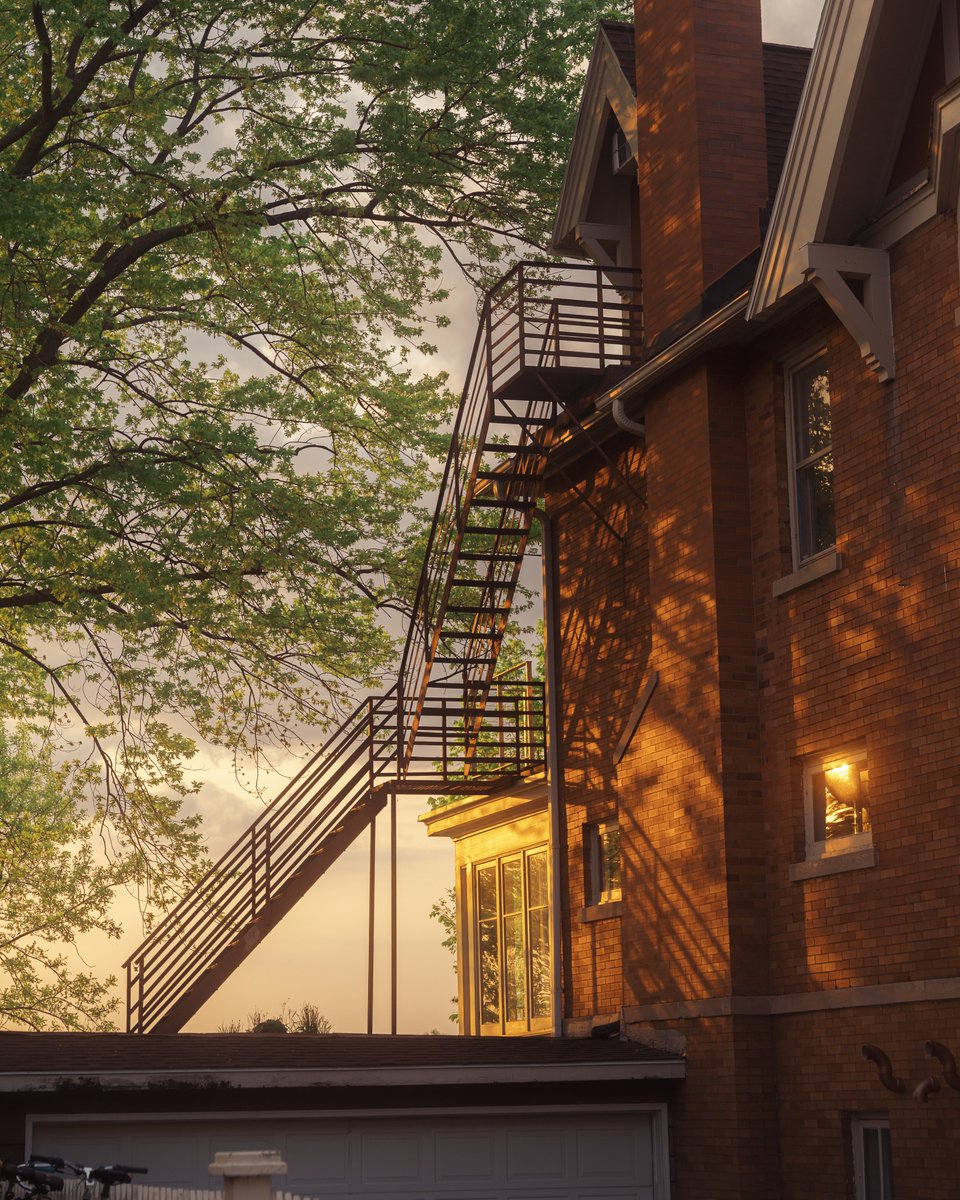 _thecolorfulkid's tweet photo. That soft evening glow https://t.co/S1VQ7NeJdz