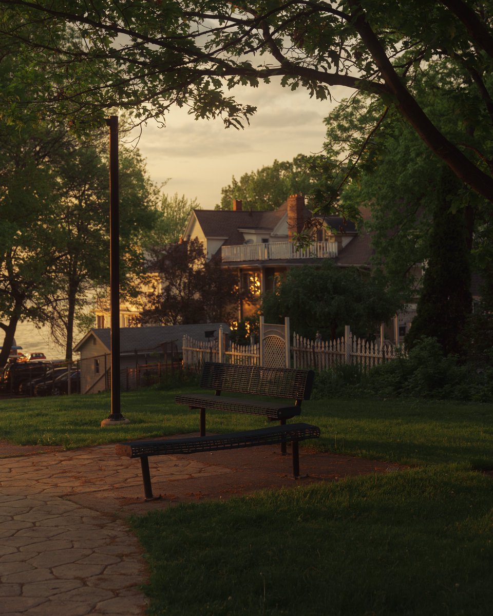 _thecolorfulkid's tweet photo. That soft evening glow https://t.co/S1VQ7NeJdz