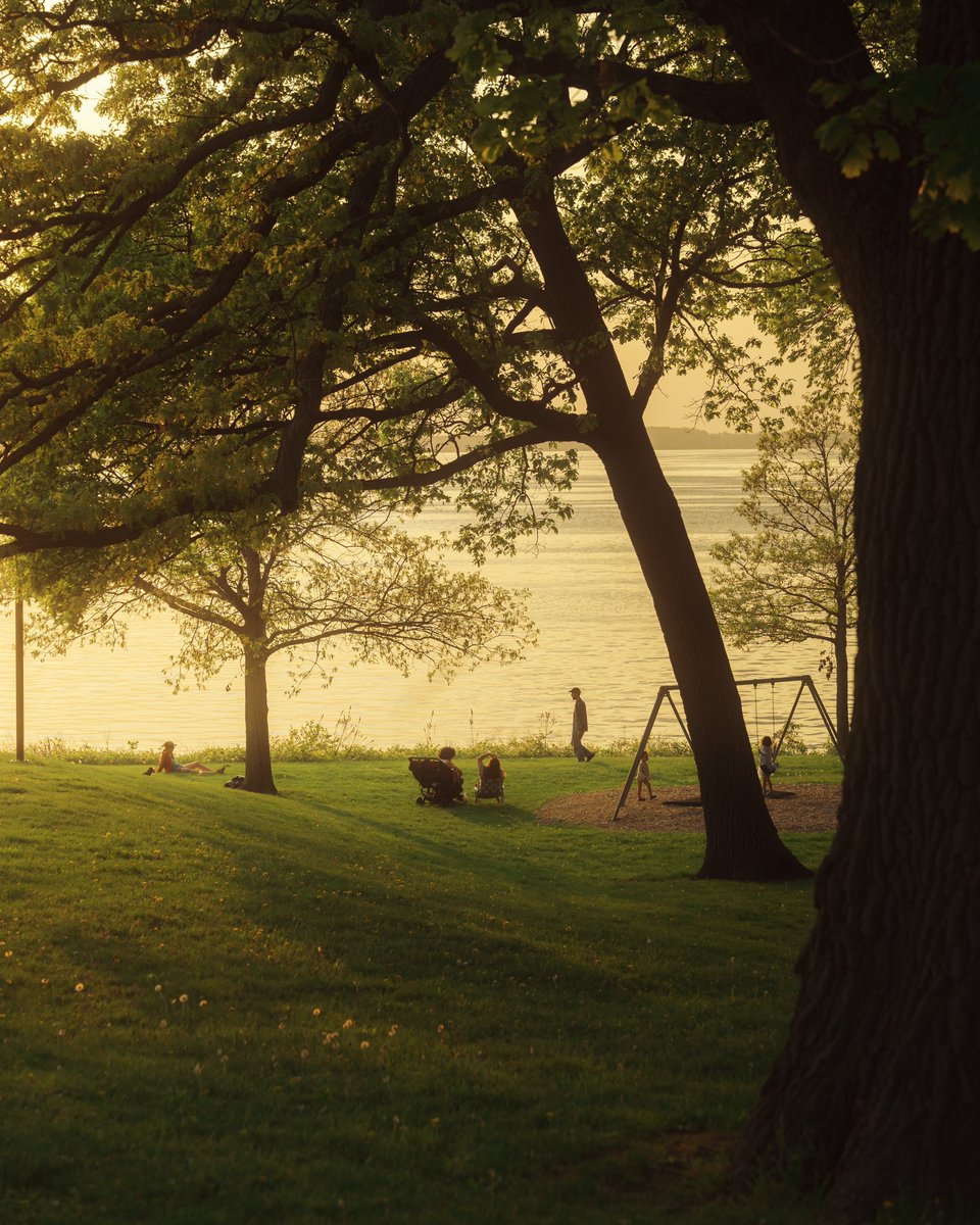 _thecolorfulkid's tweet photo. That soft evening glow https://t.co/S1VQ7NeJdz