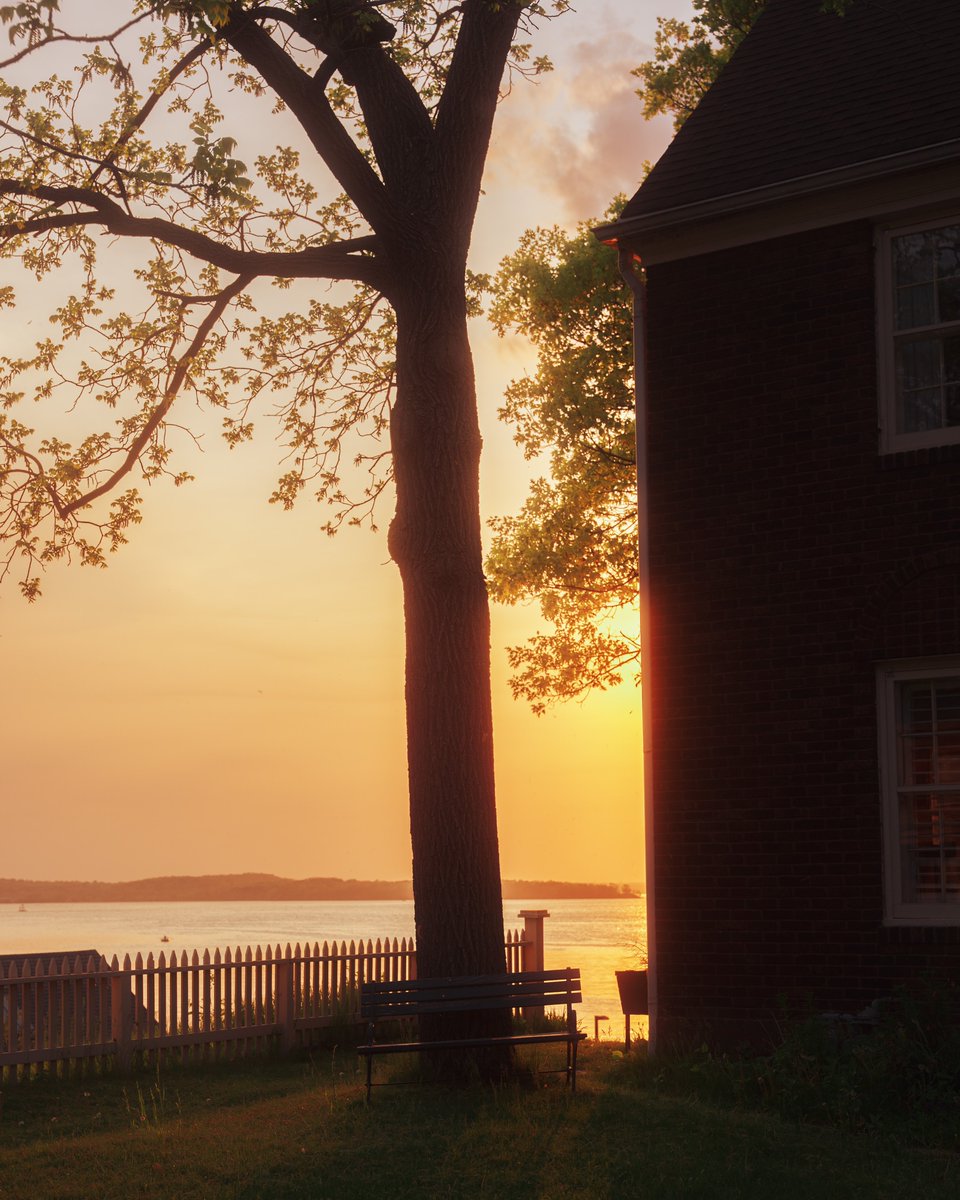_thecolorfulkid's tweet photo. That soft evening glow https://t.co/S1VQ7NeJdz