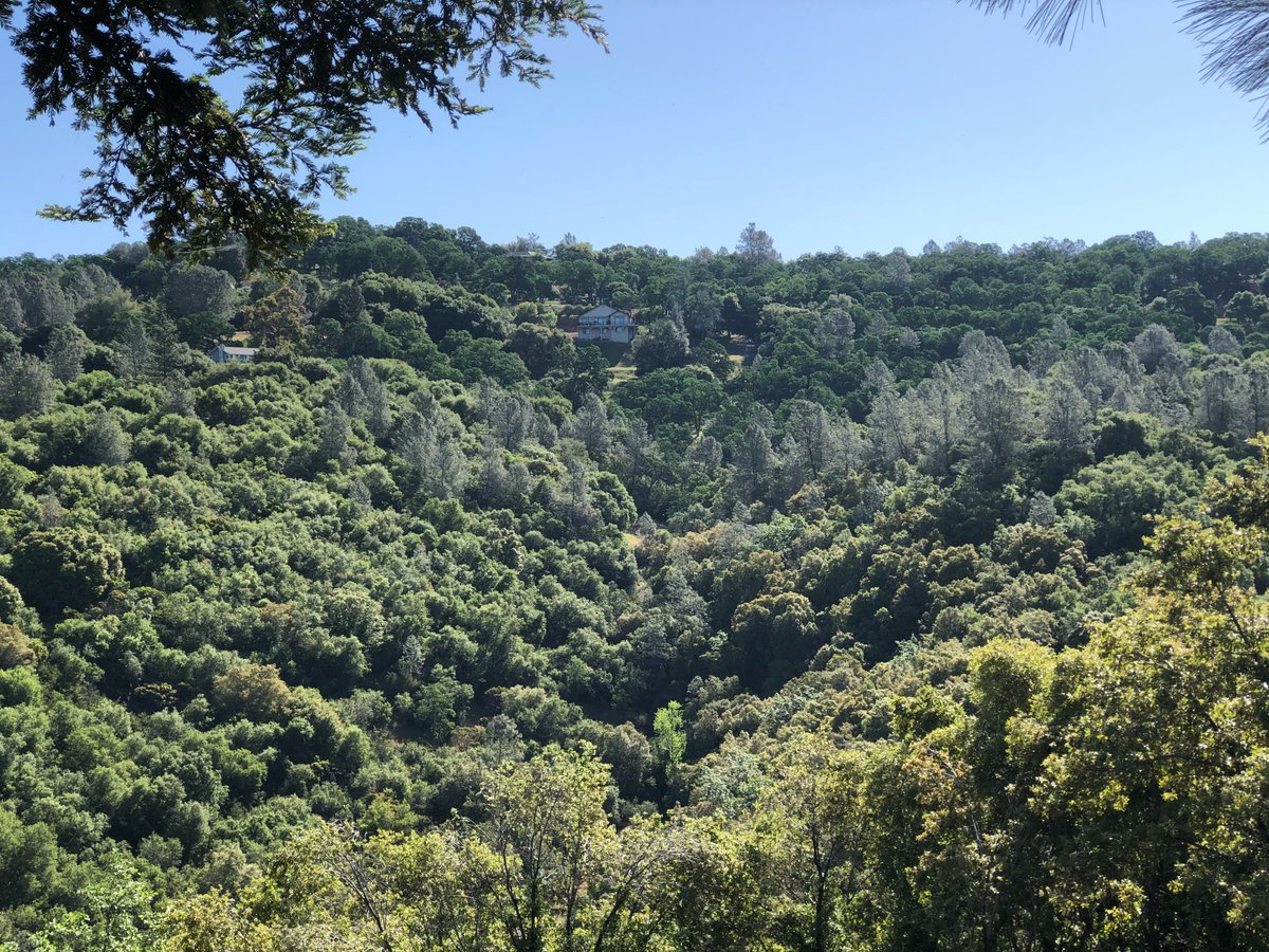 PeifferAppraise's tweet photo. I had 2 appraisals in #GardenValley earlier today. One house and one that was vacant land.
https://t.co/3jAcAwJYfT
#appraiser #sacramento #realestate #realtor #agent #folsom #auburn #nevadacity #placerville #auburn #networking #shinglesprings  #drive #coloma #sac #rural #horse https://t.co/L4vA0eCjgM